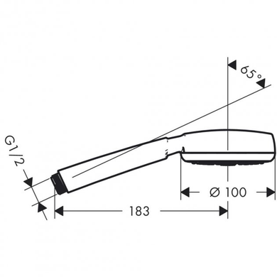 Ручний душ Hansgrohe Crometta 100 26825400