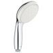 Ручний душ GROHE Tempesta 100 27597001